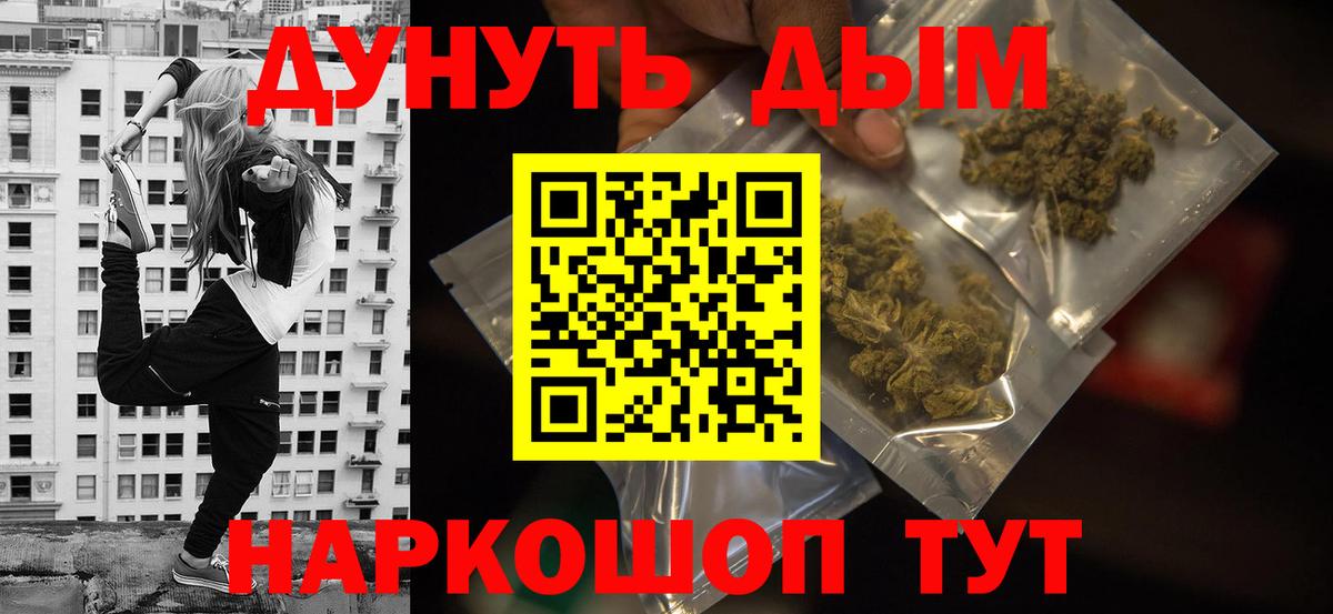 Каннабис планчик Отрадный